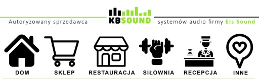Цифровое радио Kbsound In Wall DAB+ с 5 динамиками