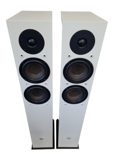 DLS R55 – громкоговорители