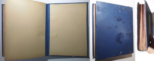 Большие европейские бабочки, Хофманн, АТЛАС БАБОЧЕК, ЦВЕТНЫЕ ТАБЛИЧКИ, 1887 г.