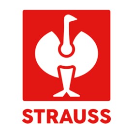 Толстовка STRAUSS M из микрофлиса