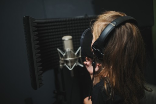 АКУСТИЧЕСКАЯ КАБИНА MOZOS ДЛЯ ЭКРАНА МИКРОФОНА КРЫШКА МИКРОФОНА POP FILTER PRO