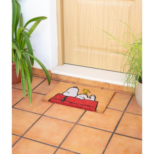 Коврик Snoopy интерьерный, кокос, 60x40 см