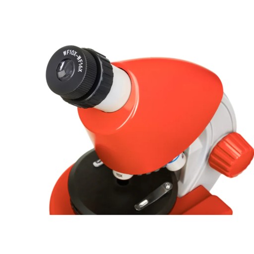 Микроскоп Levenhuk Discovery Micro с книгой