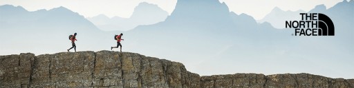ШОРТЫ THE NORTH FACE RESOLVE NF0A556VBH7 30 лет