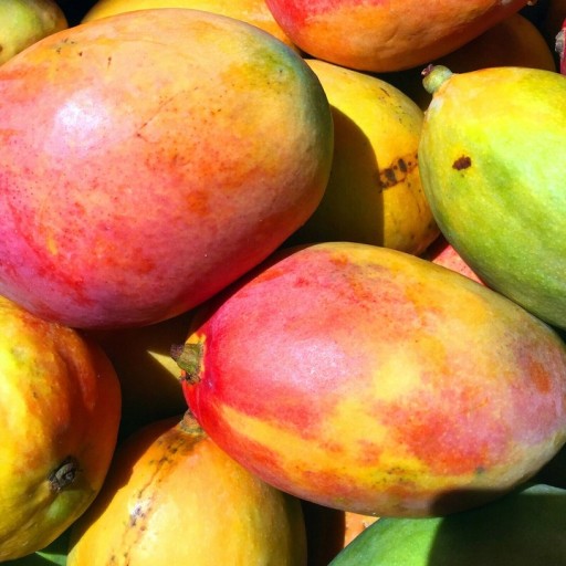 КОНЦЕНТРАТ СИРОПА FRUTTAMAX MANGO SODASTREAM
