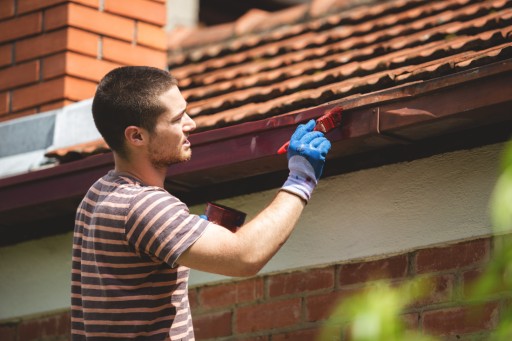 Nobiles Roof and Gutter Шоколадно-коричневый матовый 10л