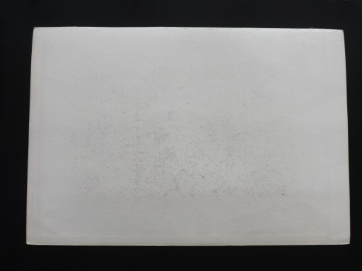 Гравюра на стали DER KARPENSTEIN BEI LANDECK - KARPIEŃ LĄDEK ZDRÓJ 1888