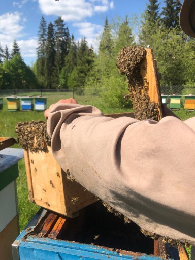 Ароматическая экологическая свеча из пчелиного воска.