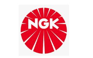 NGK 4619 СВЕЧА ЗАЖИГАНИЯ. ФИАТ BKR6EZ