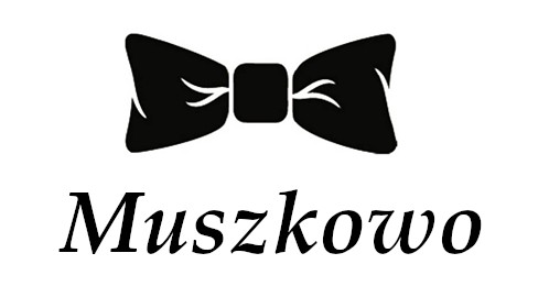 Szelki męskie do spodni z muszką do wyboru turkusowe
