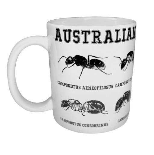 Кружка Camponotus Australia AH-6