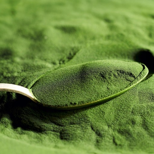CHLORELLA PROSZEK 100g 100 % NATURALN ALGA MORSKA