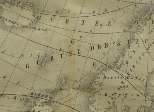 1835r. Stara Mapa roślinności Europy 42x32 cm