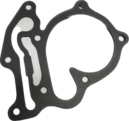 Прокладка водяного насоса Fiat Cinquecento 700 126p BIS