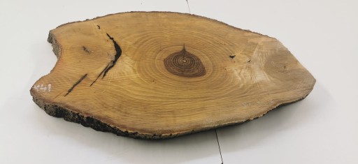 Срез ясеня 47x35 см Большой выбор Малый размер
