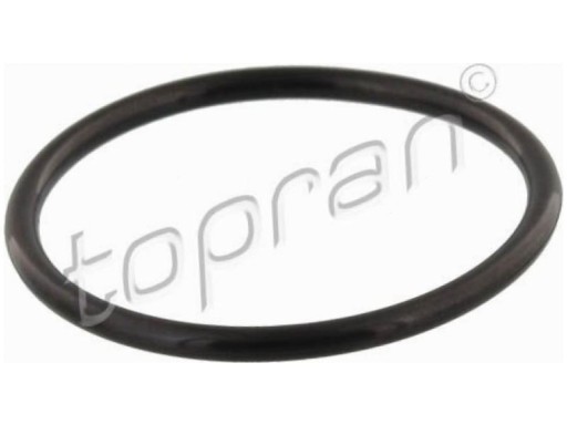 ПРОКЛАДКА ТЕРМОСТАТА VW SCIROCCO III MK3 TOURAN EOS AMAROK BEETLE
