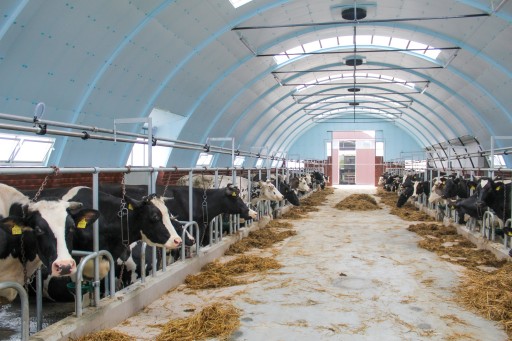 Синие изоляционные панели STYRODUR XPS AGRO 100 мм
