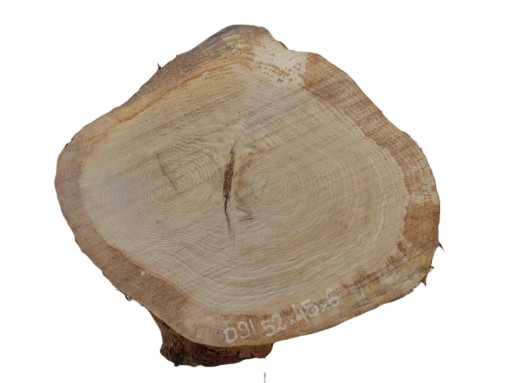 Журнальный столик Oak Slice 52x45 Top Wood Oak