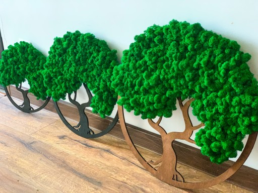 OBRAZ mech chrobotek drzewko BONSAI OBRAZ Z mchu drzewko NA PREZENT 30