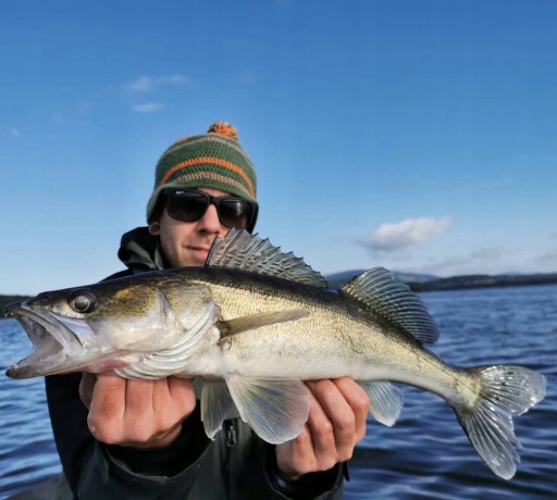 Relax KING SHAD ZANDER РЕЗИНА 4 дюйма - 11,5 см