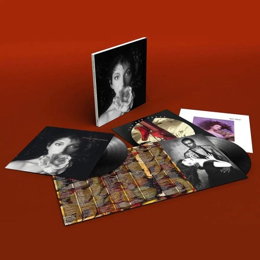 KATE BUSH Ремастеринг на виниле, том 2 (3LP).