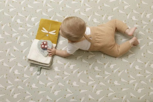 Little Goose Little Dutch Книга активации
