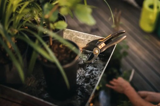 Ножничный секатор P321 НОВИНКА Fiskars НОВИНКА