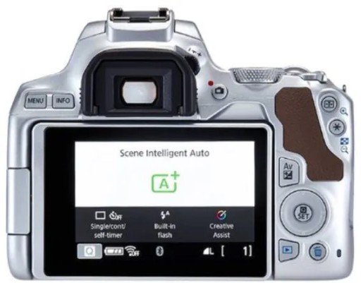 Комплект Canon 250D + 18-55 IS STM, серебристый