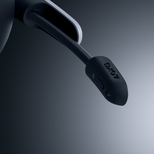 Наушники Sony CFI-ZWH1, бело-черные