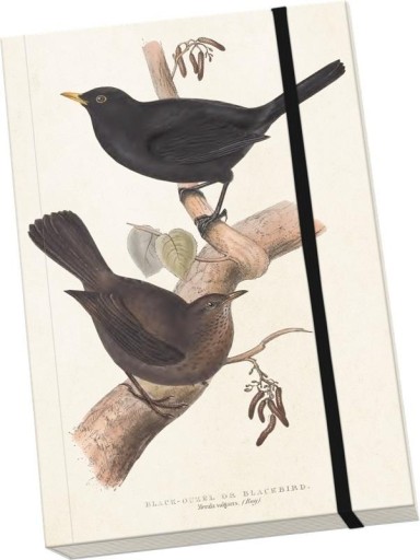 ДЕКОРАТИВНЫЙ БЛОКНОТ A5 STNOTE 90 BIRDS, SKONA TING