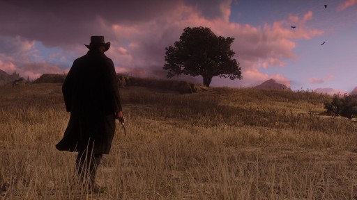 Red Dead Redemption 2 (XONE)