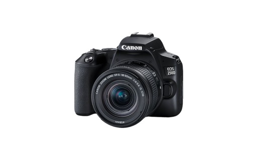 Canon EOS 250D + EF-S 18-55mm f/4-5.6 IS STM