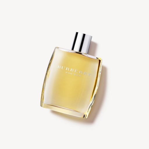 Burberry, Burberry for Men, туалетная вода для мужчин, 100 мл