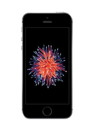 Smartfon Apple iPhone SE 2 GB / 16 GB 4G (LTE) szary ODNOWIONY