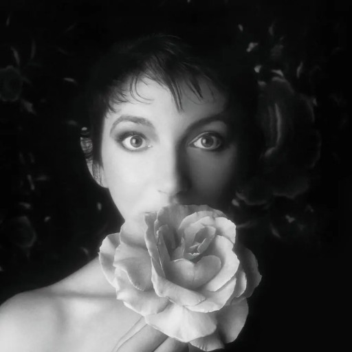 KATE BUSH Ремастеринг на виниле, том 2 (3LP).