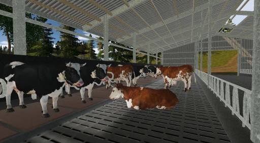 Real Farm Premium Edition Nintendo Switch