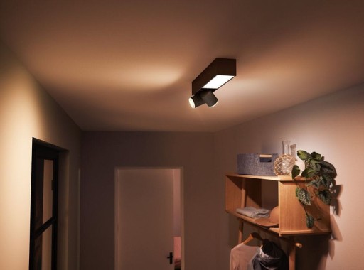 Philips Hue Centris 2-spot black special form BT