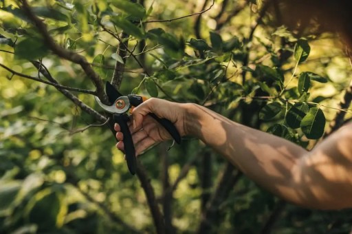 Ножничный секатор P321 НОВИНКА Fiskars НОВИНКА