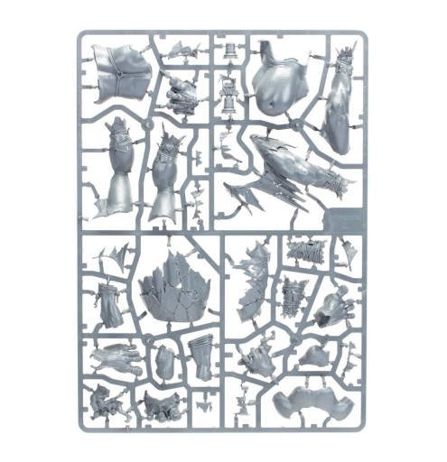 Warhammer Age of Sigmar SONS OF BEHEMAT: KING BRODD Games Workshop