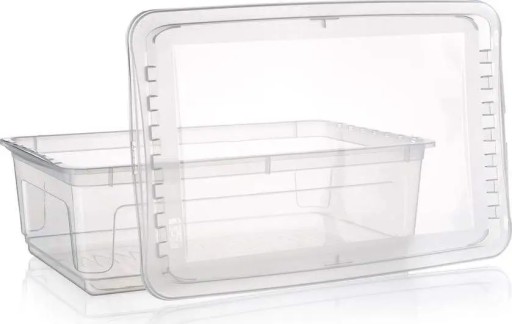 Clearbox Bea прозрачный 59x39x18 см Keeeper