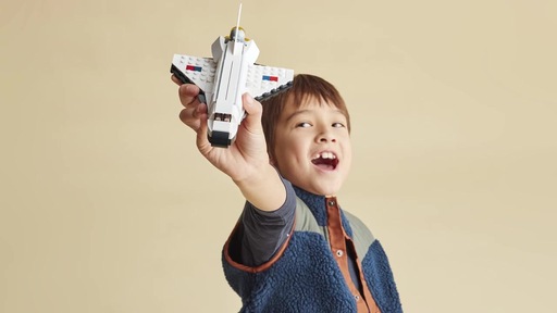 LEGO CREATOR 3-в-1 31134 «Космический корабль» + LEGO 31133 «Кролик» — подарочный набор