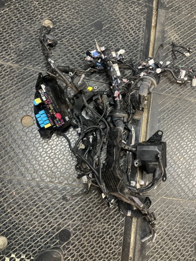 Lexu es 300h 2019-24 вязка капота мотора , фото