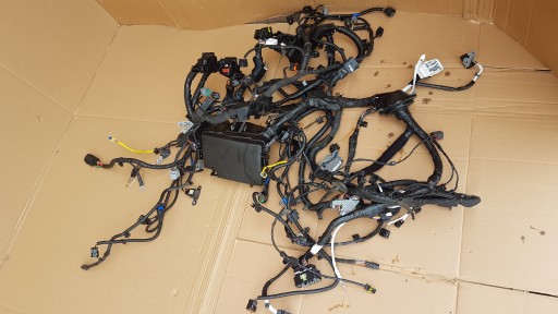 Вязка проводка мотора hyundai i30n 2 0 t g4kh , фото