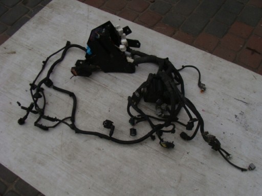 Lexu rx 400h 03-08 проводка электронное переднее , фото