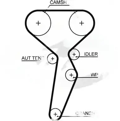 Gates 5671xs ремінь грм , фото