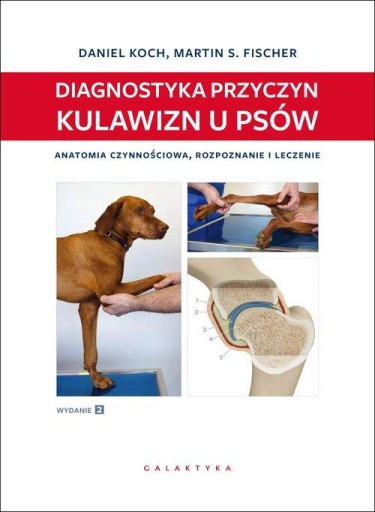 Diagnostyka przyczyn kulawizn u psów Daniel Koch