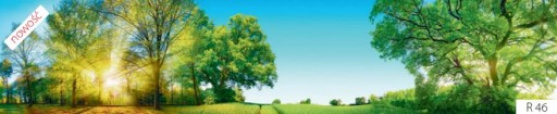 PANELE DEKORACYJNE MDF DO KUCHNI-POŁYSK-NATURA