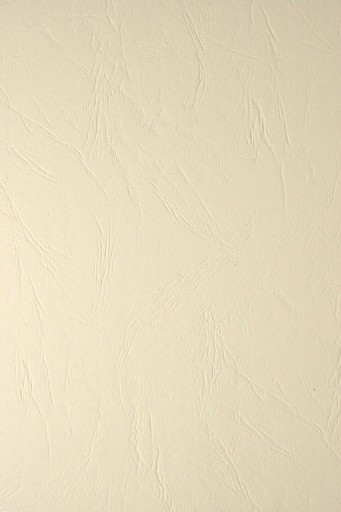 Papier ozdobny Keaykolour 300g Skóra ecru 10A4