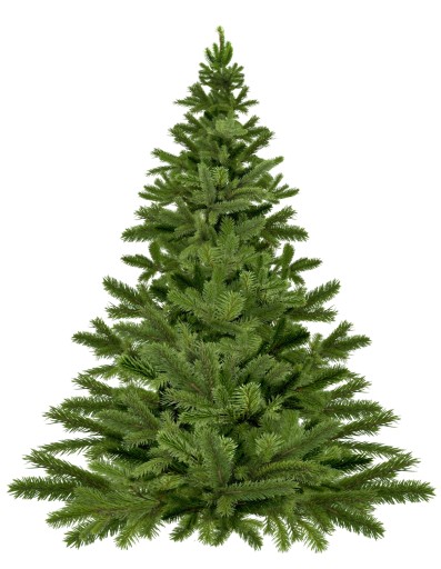 Choinka do malutkich wnętrz! NA ŚCIANĘ wys. 100cm