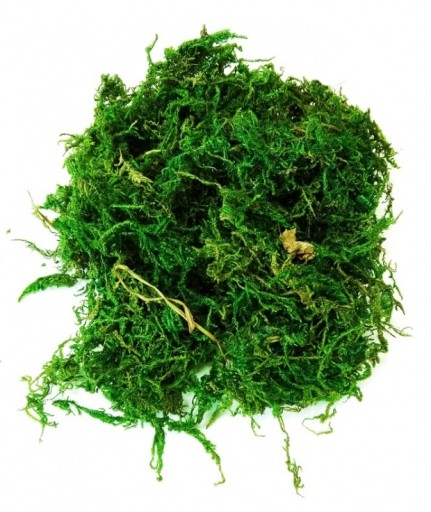 SZTUCZNY MECH szopka stroik wielkanoc trawa 40gram